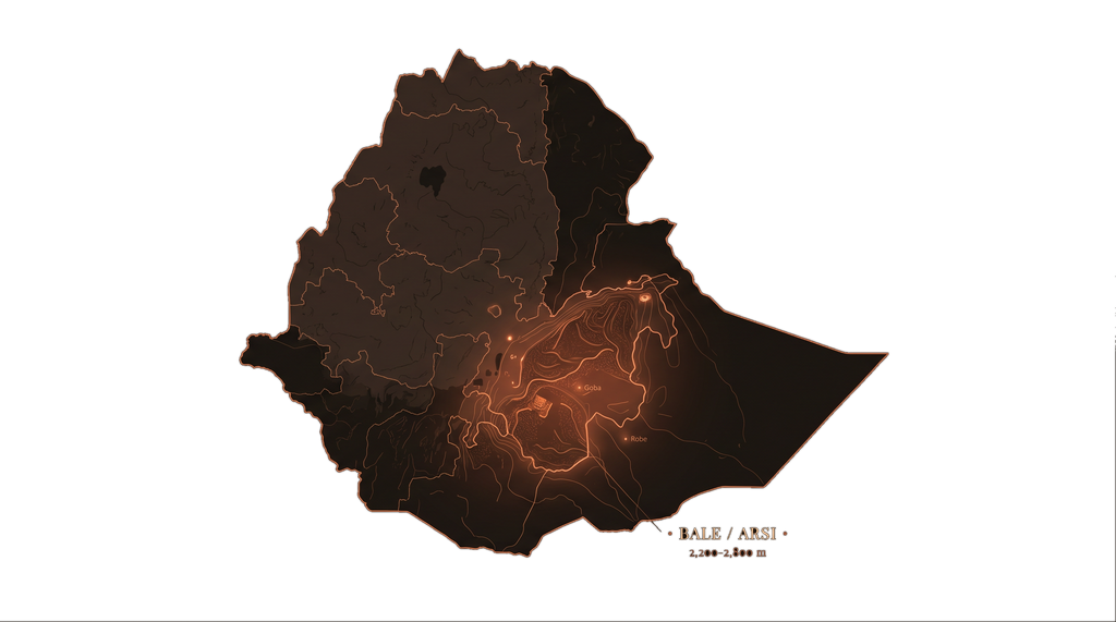 Illustrated map of Ethiopia with the Bale and Arsi highlands glowing in terracotta — 2,200 to 2,800 metres